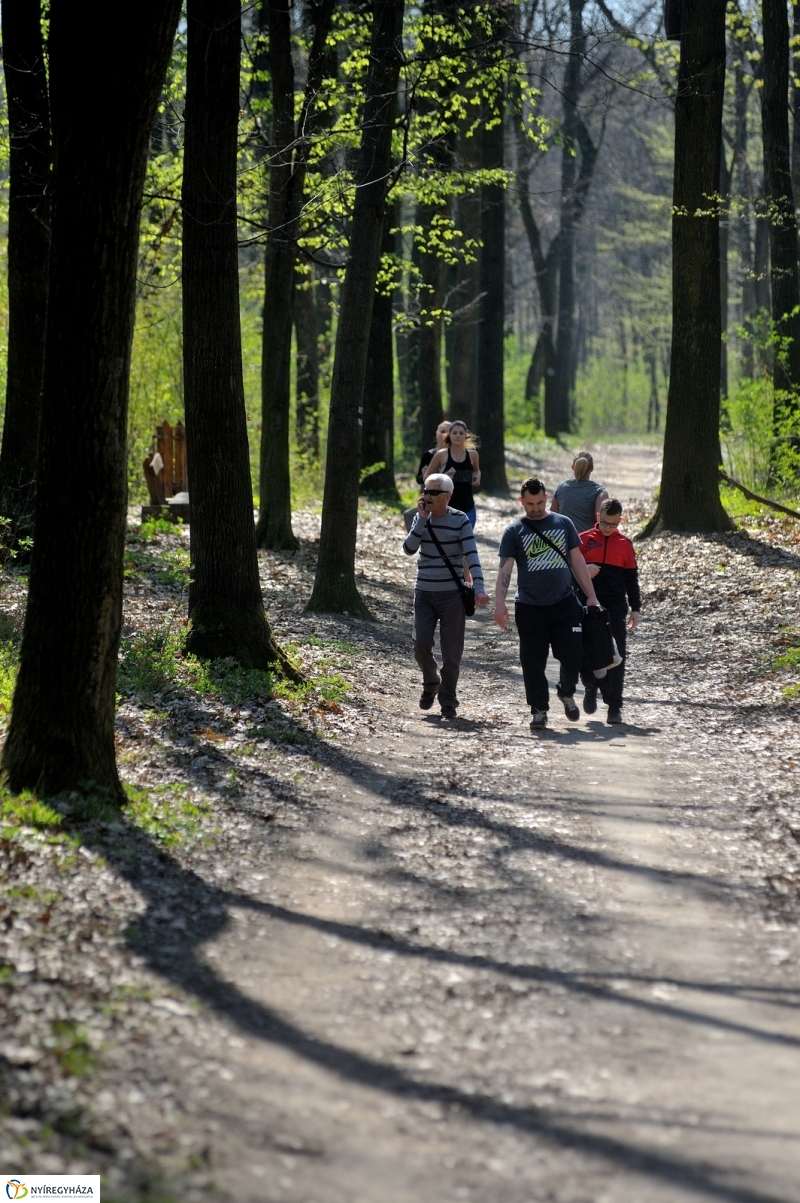 Tavasz a Sóstói Parkerdőben - fotó Szarka Lajos