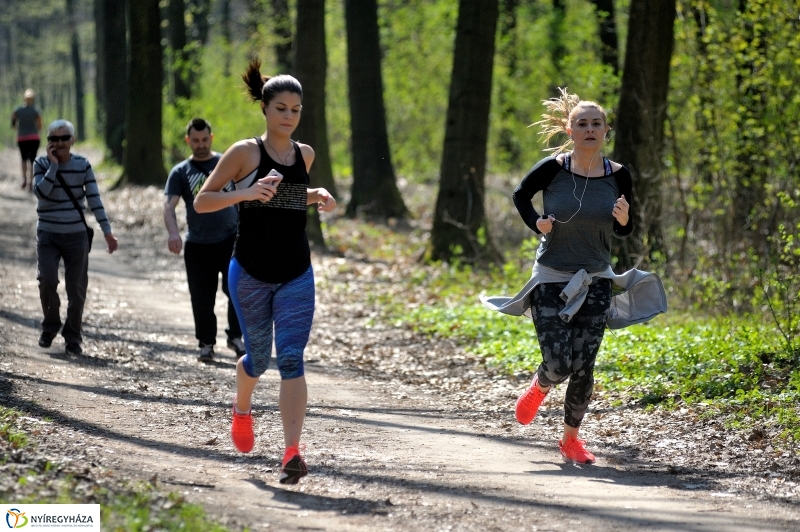 Tavasz a Sóstói Parkerdőben - fotó Szarka Lajos