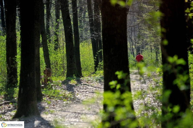 Tavasz a Sóstói Parkerdőben - fotó Szarka Lajos