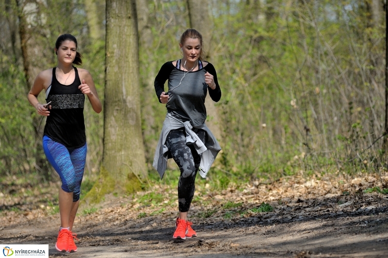Tavasz a Sóstói Parkerdőben - fotó Szarka Lajos