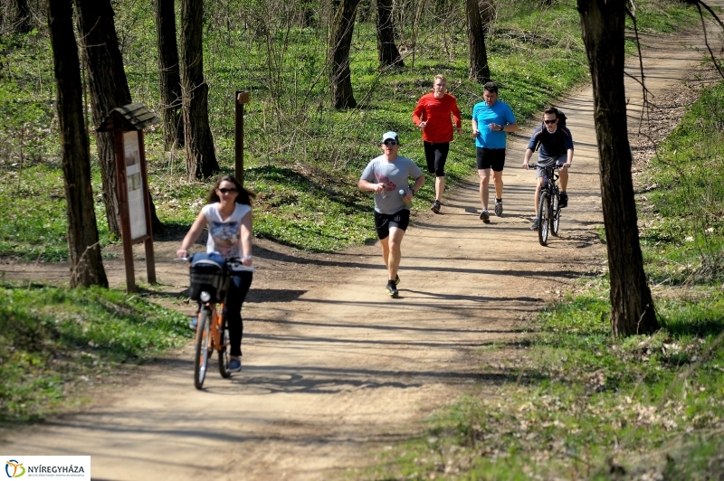 Tavasz a Sóstói Parkerdőben - fotó Szarka Lajos