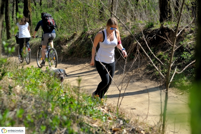 Tavasz a Sóstói Parkerdőben - fotó Szarka Lajos