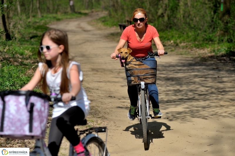 Tavasz a Sóstói Parkerdőben - fotó Szarka Lajos