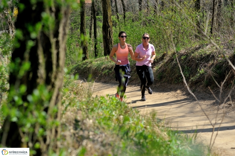 Tavasz a Sóstói Parkerdőben - fotó Szarka Lajos