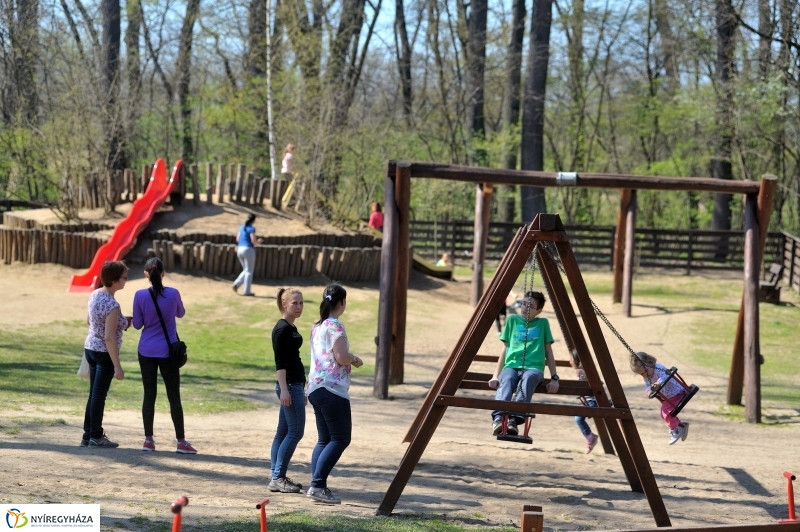 Tavasz a Sóstói Parkerdőben - fotó Szarka Lajos