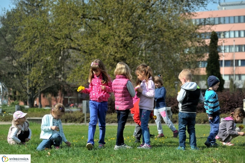 Tavaszi délelőtt a Katica csoporttal - fotó Szarka Lajos
