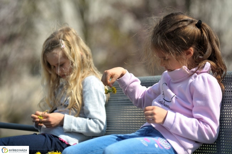 Tavaszi délelőtt a Katica csoporttal - fotó Szarka Lajos