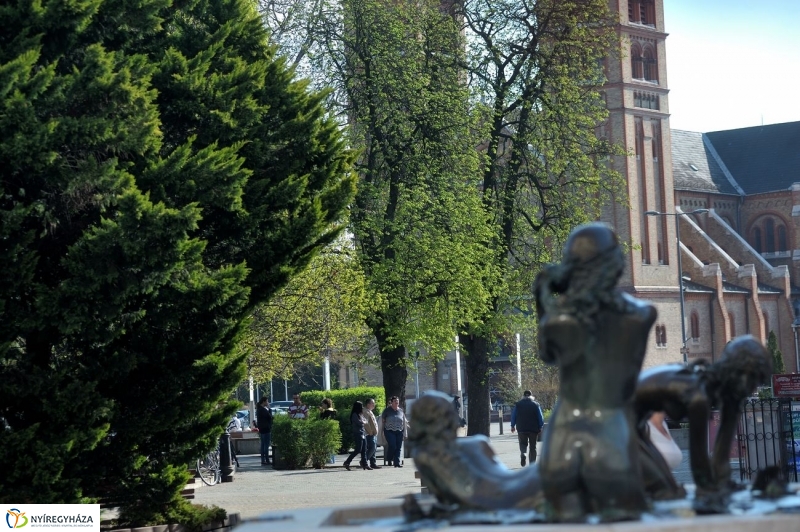 Tavaszi pillanatok - fotó Szarka Lajos