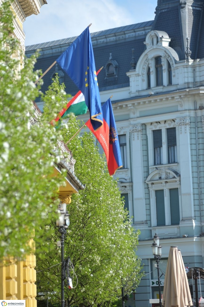 Tavaszi pillanatok - fotó Szarka Lajos