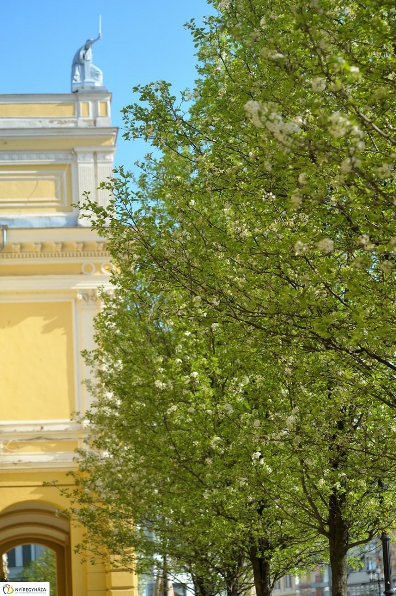 Tavaszi pillanatok - fotó Szarka Lajos