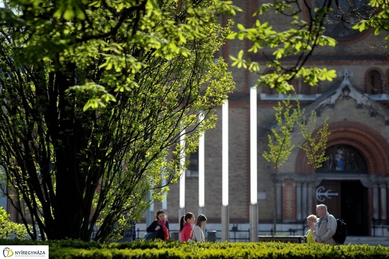 Tavaszi pillanatok - fotó Szarka Lajos