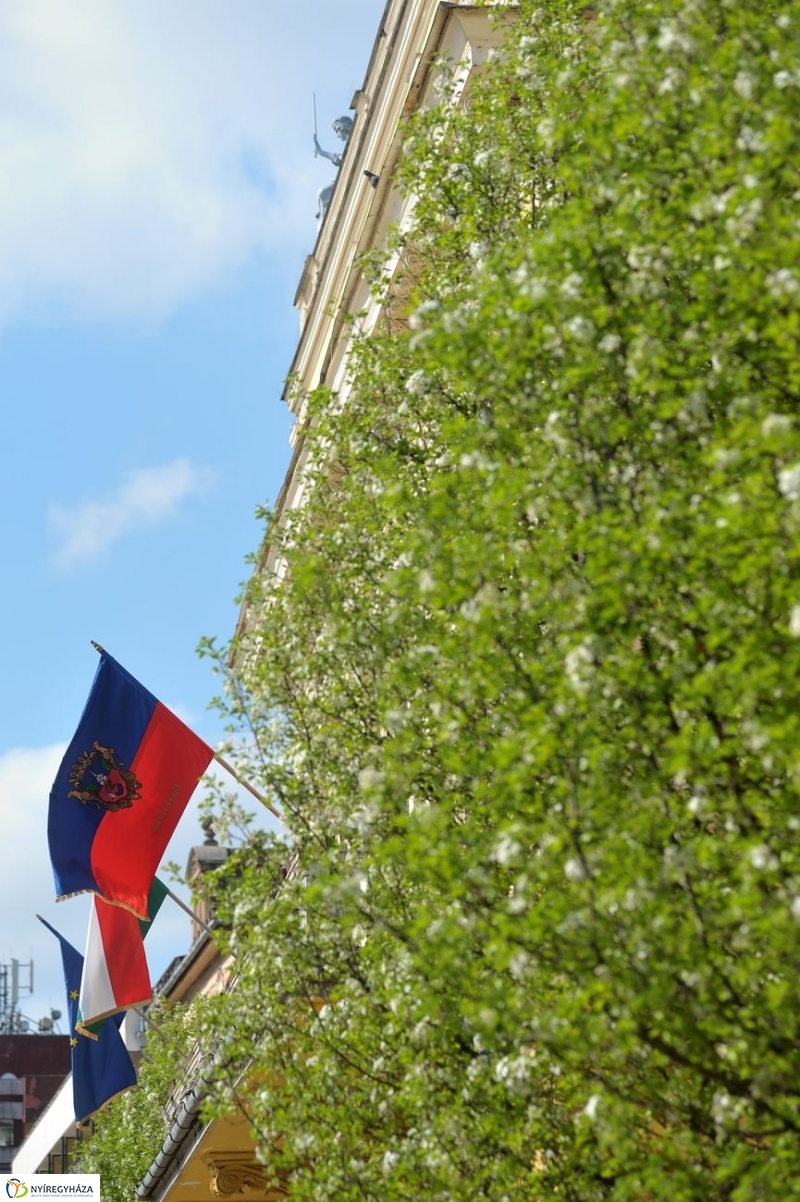 Tavaszi pillanatok - fotó Szarka Lajos