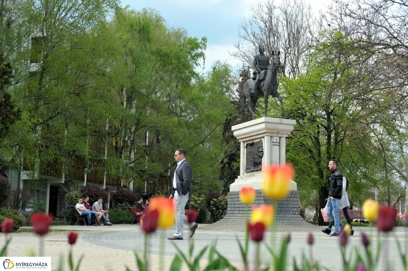 Tavaszi pillanatok - fotó Szarka Lajos