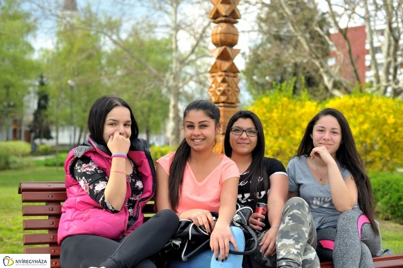 Tavaszi pillanatok - fotó Szarka Lajos