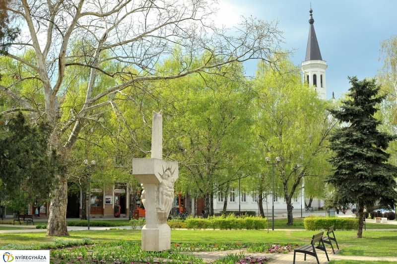 Tavaszi pillanatok - fotó Szarka Lajos