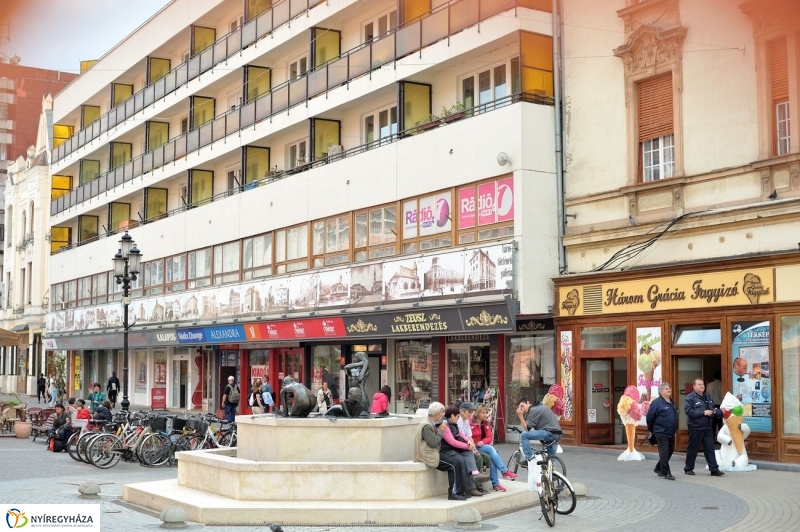 Tavaszi pillanatok - fotó Szarka Lajos