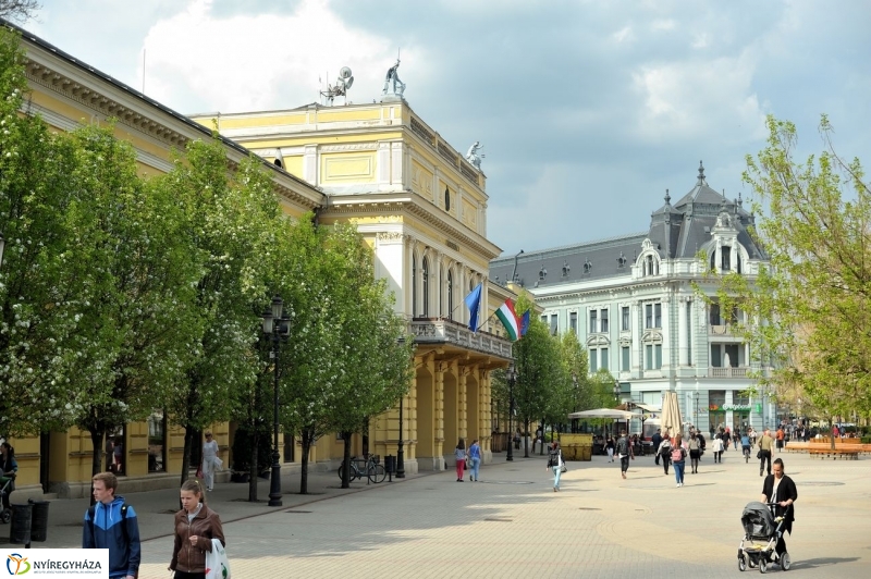 Tavaszi pillanatok - fotó Szarka Lajos