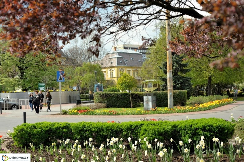 Tavaszi pillanatok - fotó Szarka Lajos