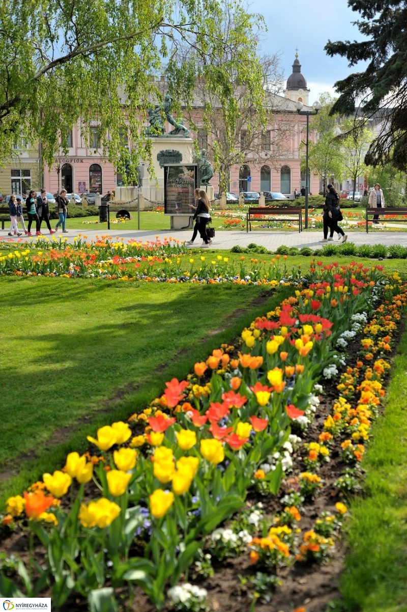Tavaszi pillanatok - fotó Szarka Lajos