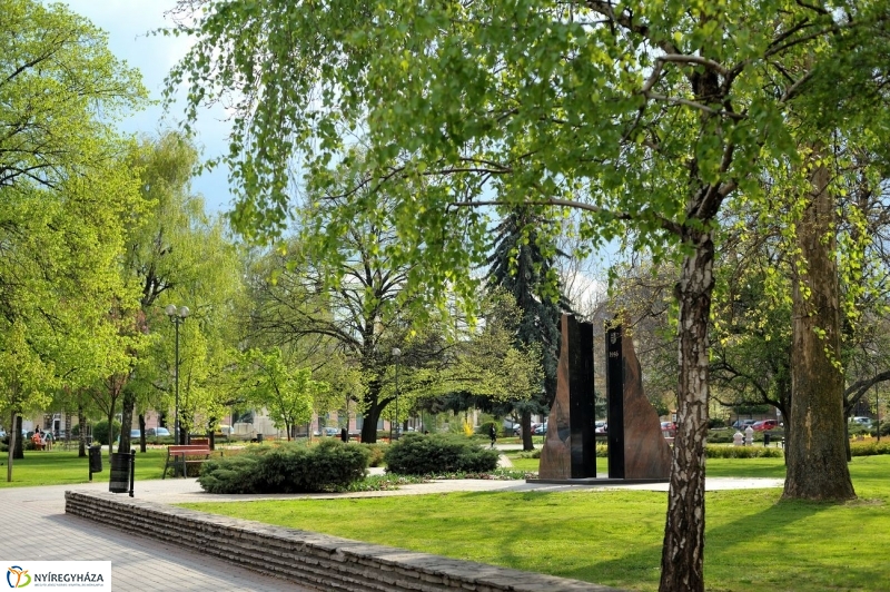 Tavaszi pillanatok - fotó Szarka Lajos