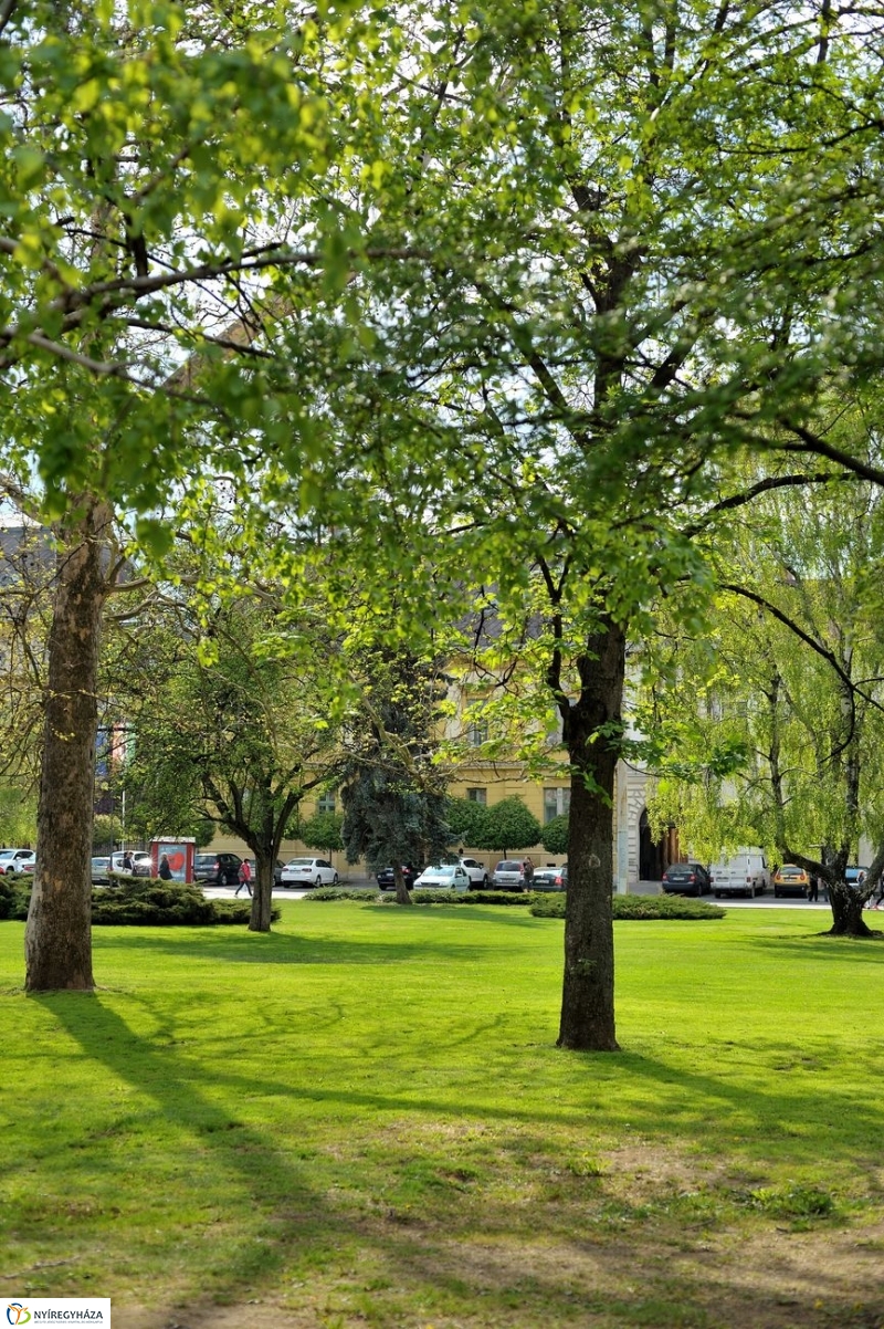 Tavaszi pillanatok - fotó Szarka Lajos