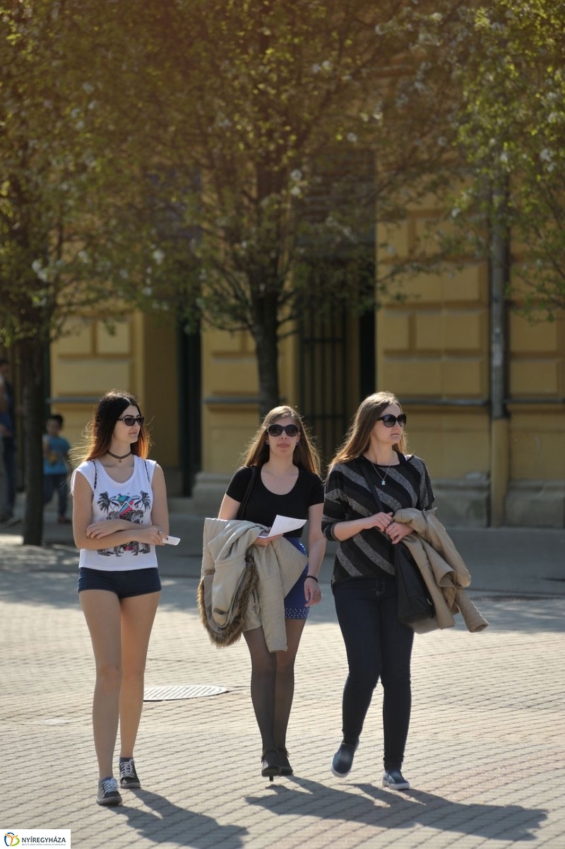 Tavaszi pillanatok - fotó Szarka Lajos