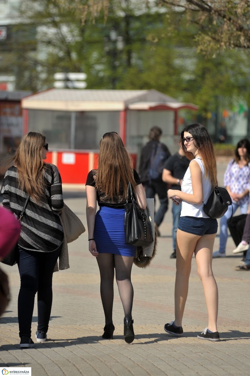 Tavaszi pillanatok - fotó Szarka Lajos