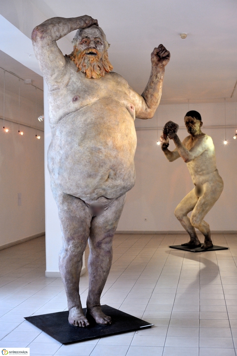 Virgilius Moldovan kiállítása - fotó Szarka Lajos