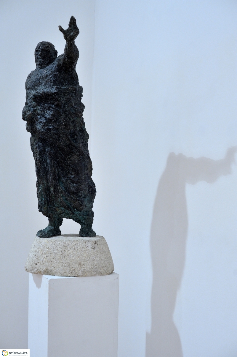 Virgilius Moldovan kiállítása - fotó Szarka Lajos