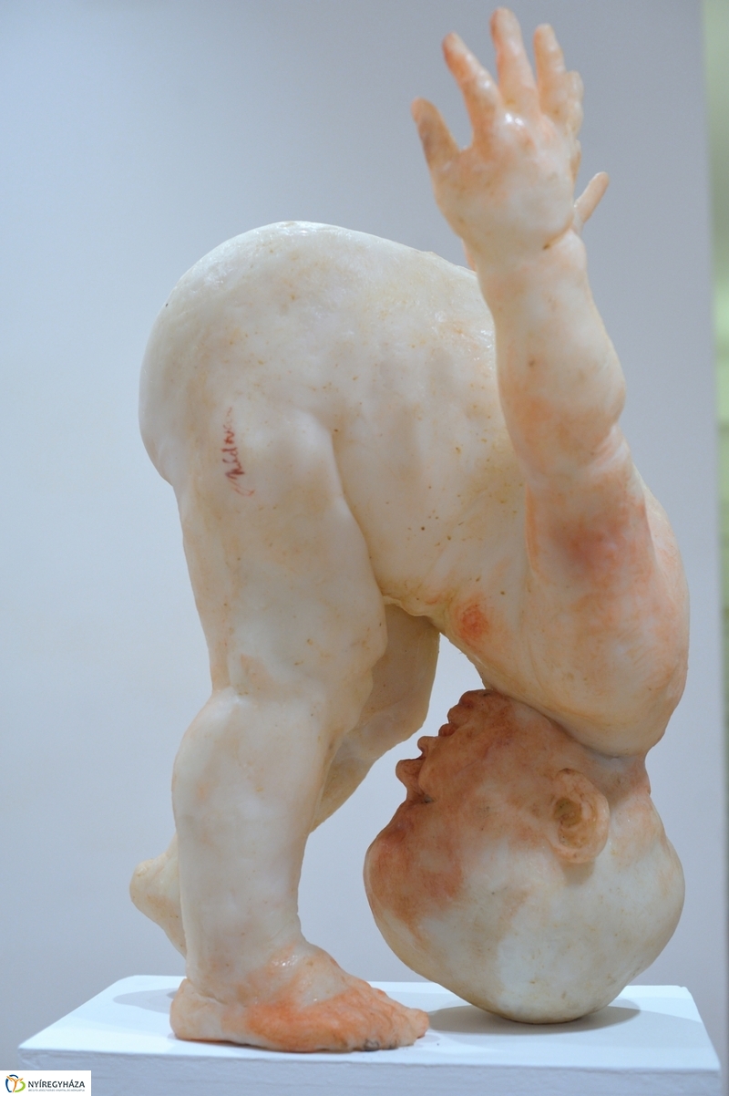 Virgilius Moldovan kiállítása - fotó Szarka Lajos