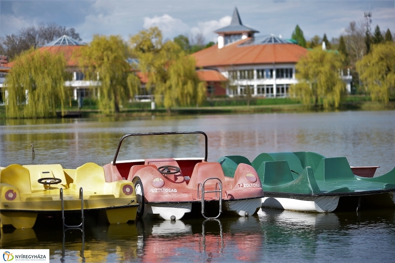 Kizöldült a Sóstó