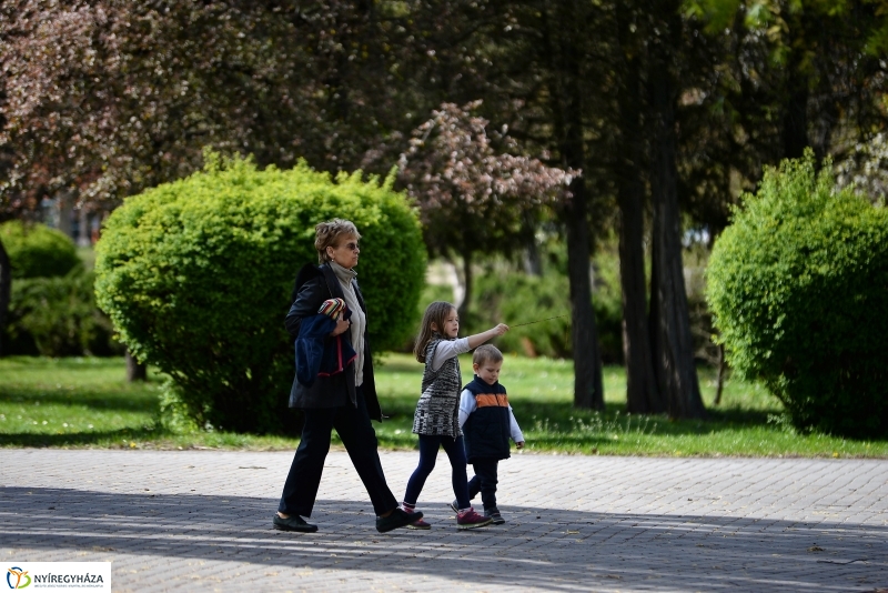 Kizöldült a Sóstó