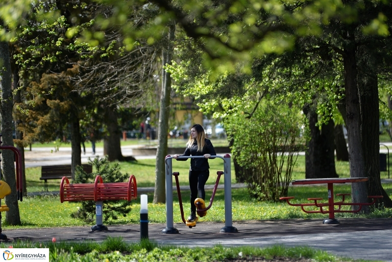 Kizöldült a Sóstó