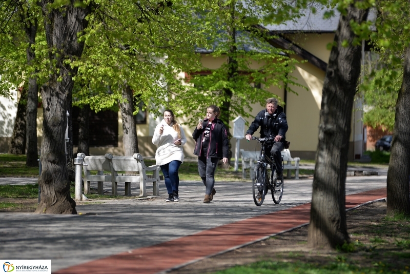 Kizöldült a Sóstó