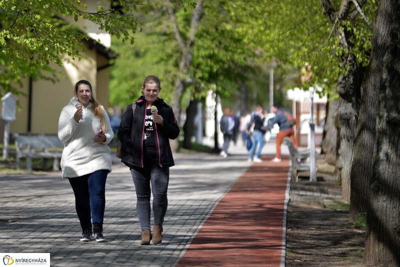 Kizöldült a Sóstó