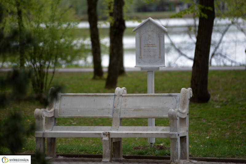 Kizöldült a Sóstó