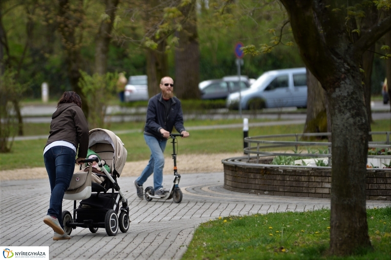 Kizöldült a Sóstó
