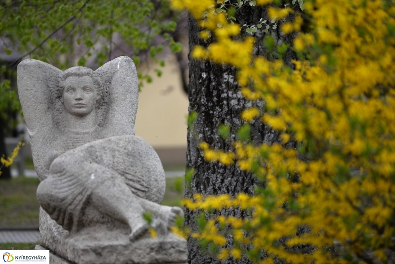 Kizöldült a Sóstó