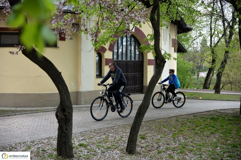 Kizöldült a Sóstó