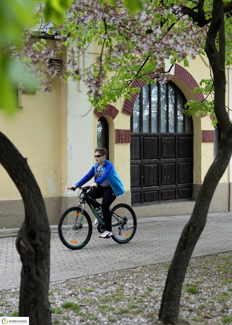 Kizöldült a Sóstó