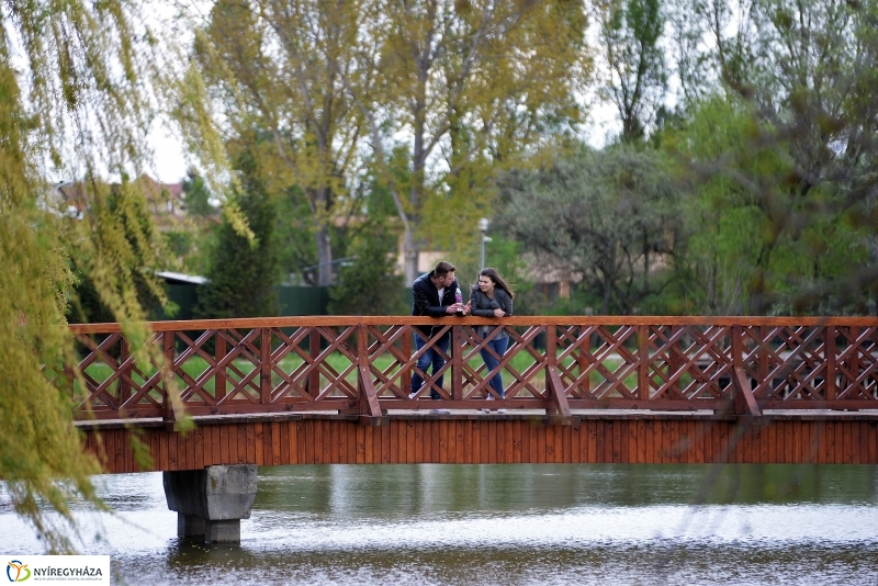 Kizöldült a Sóstó