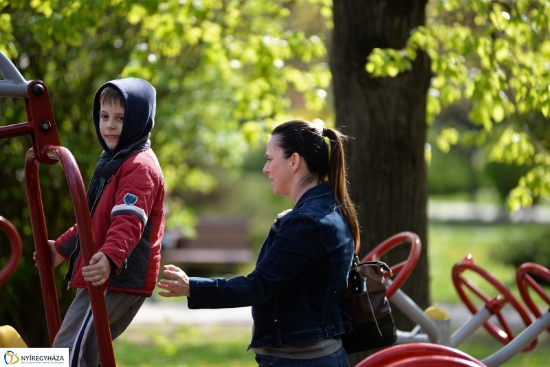 Kizöldült a Sóstó