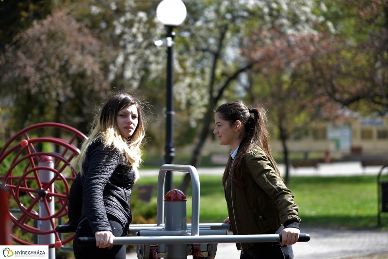 Kizöldült a Sóstó