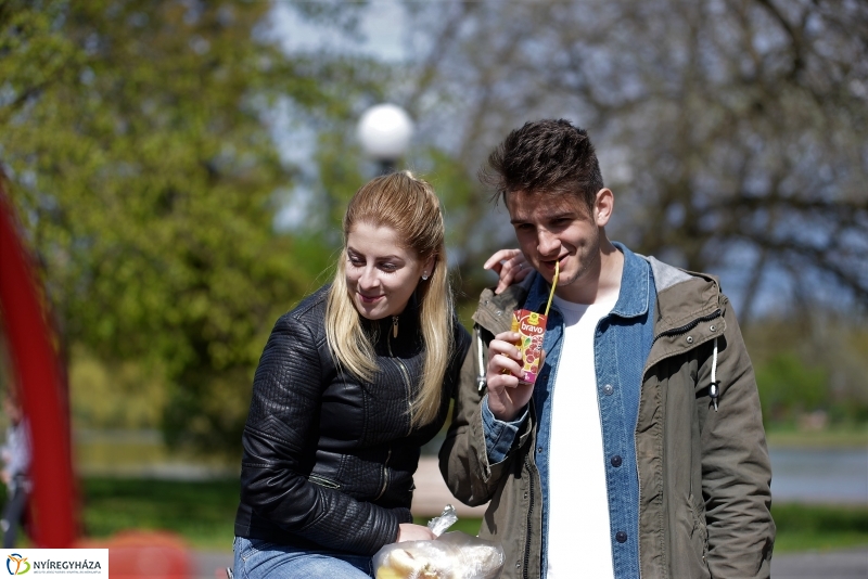 Kizöldült a Sóstó