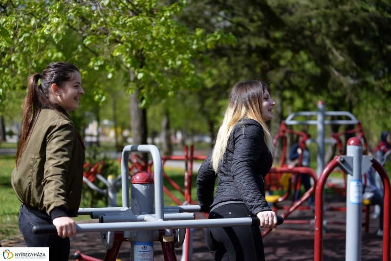 Kizöldült a Sóstó