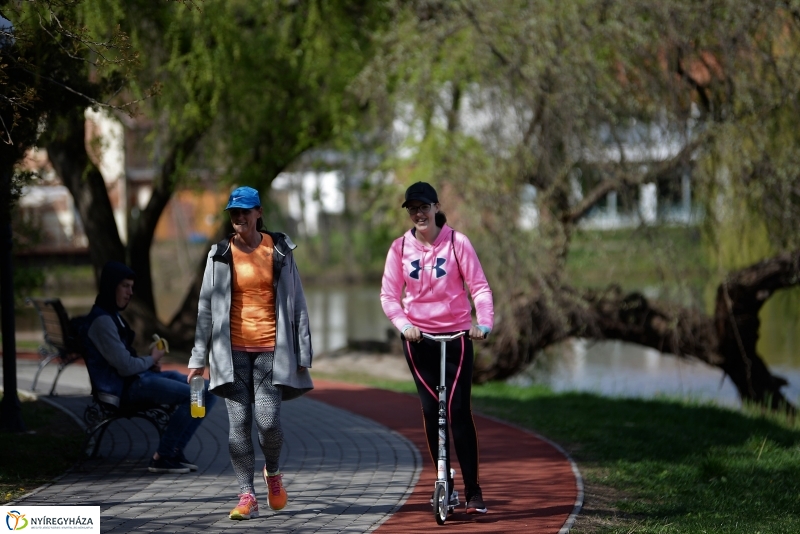 Kizöldült a Sóstó