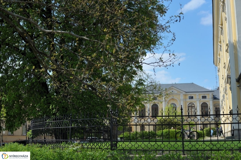 Csendes Nap - fotó Szarka Lajos