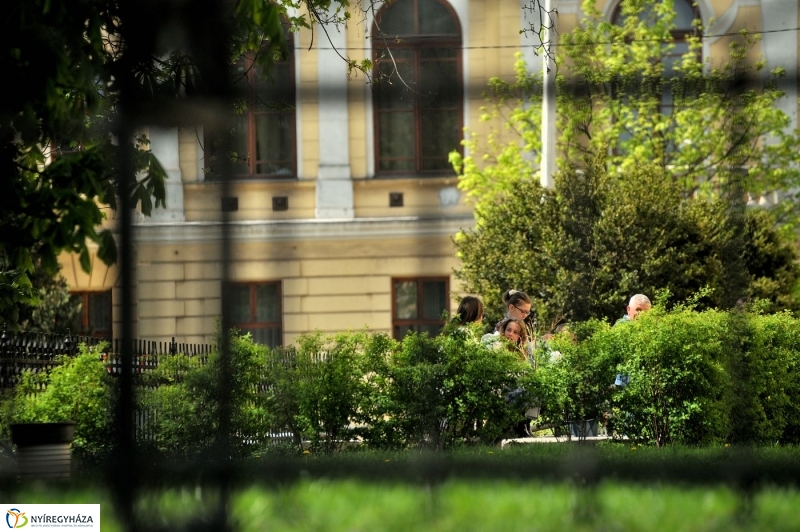 Csendes Nap - fotó Szarka Lajos