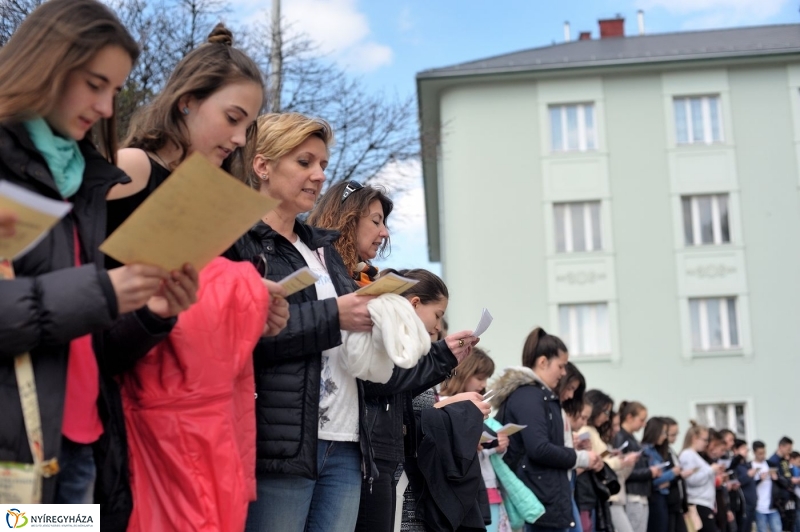 Csendes Nap - fotó Szarka Lajos