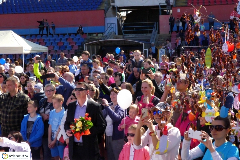 Nyuszifutás 2017 - fotó Szarka Lajos